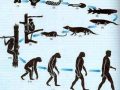 Propuestas hechas por Darwin en su teoría evolucionista