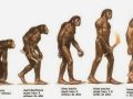 ¿Cómo fue la evolución del hombre según la teoría evolucionista?