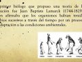¿Cuál es la teoría de la evolución de Lamarck?